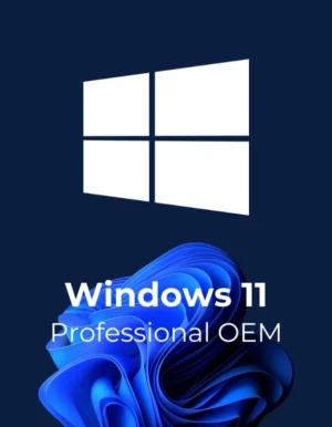 Windows 11 Professional OEM