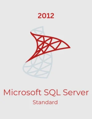 Microsoft SQL Server 2008 Standard R2